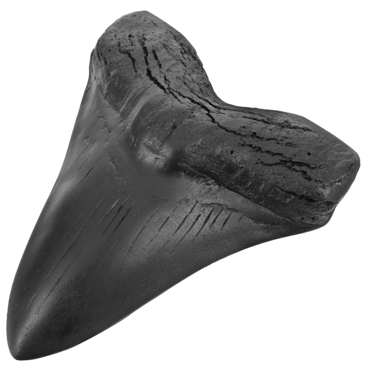Dente di Squalo Megalodonte in Resina Realistica, Riproduzione Dettagliata per Collezioni e Decorazioni da Ufficio, e Unico