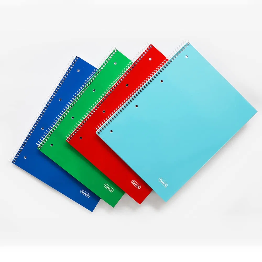Favorit Quaderni Spiralati A4, Rigatura Quadretti 5mm, 5 Pezzi, Con Fori E Microperforazione, Carta 80g/Mq, 1 rosso, 1 blu, 1 verde, 1 turchese + 1 colore a rotazione
