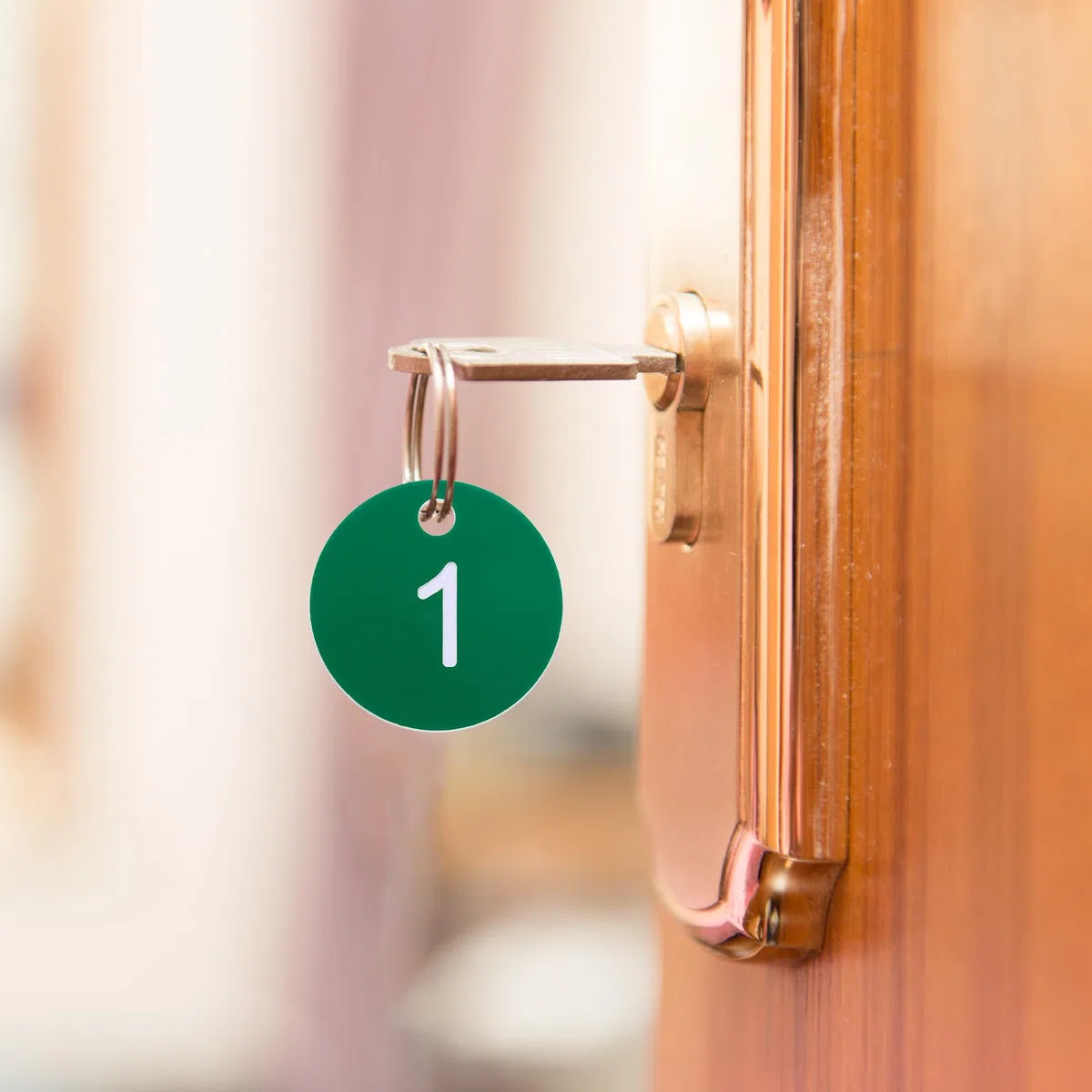 QUARKZMAN Portachiavi Numerati da 1 a 30, 30pz Targhette Numerate Rotondo da 35 Mm, Portachiavi Numerate in Plastica per Chiavi Dormitorio, per Armadietti Casa, Verde