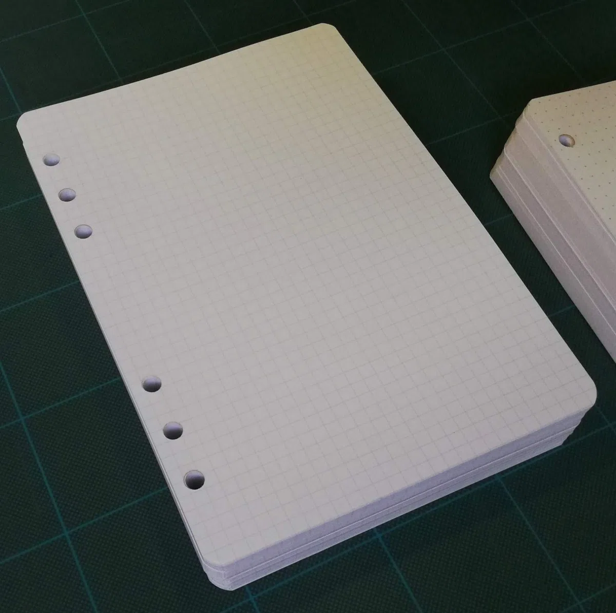 ricambio / ricarica per agenda organizer "formato A5" con 6 anelli 14x20cm (200 fogli a quadretti carta bianca)